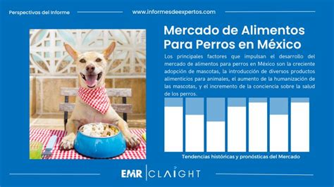 en.perdos|venta de perros en méxico.